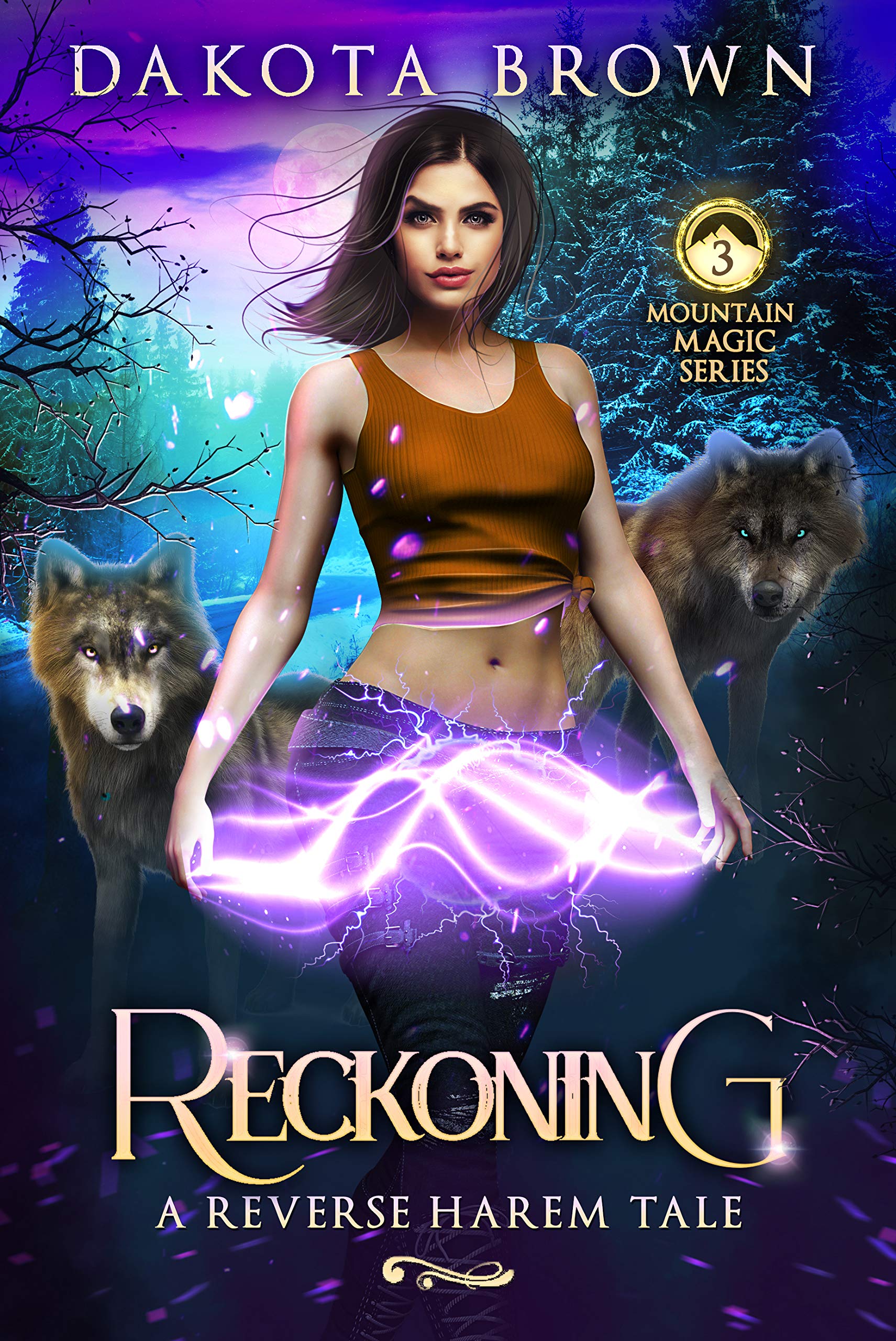 Mountain Magic book cover 3