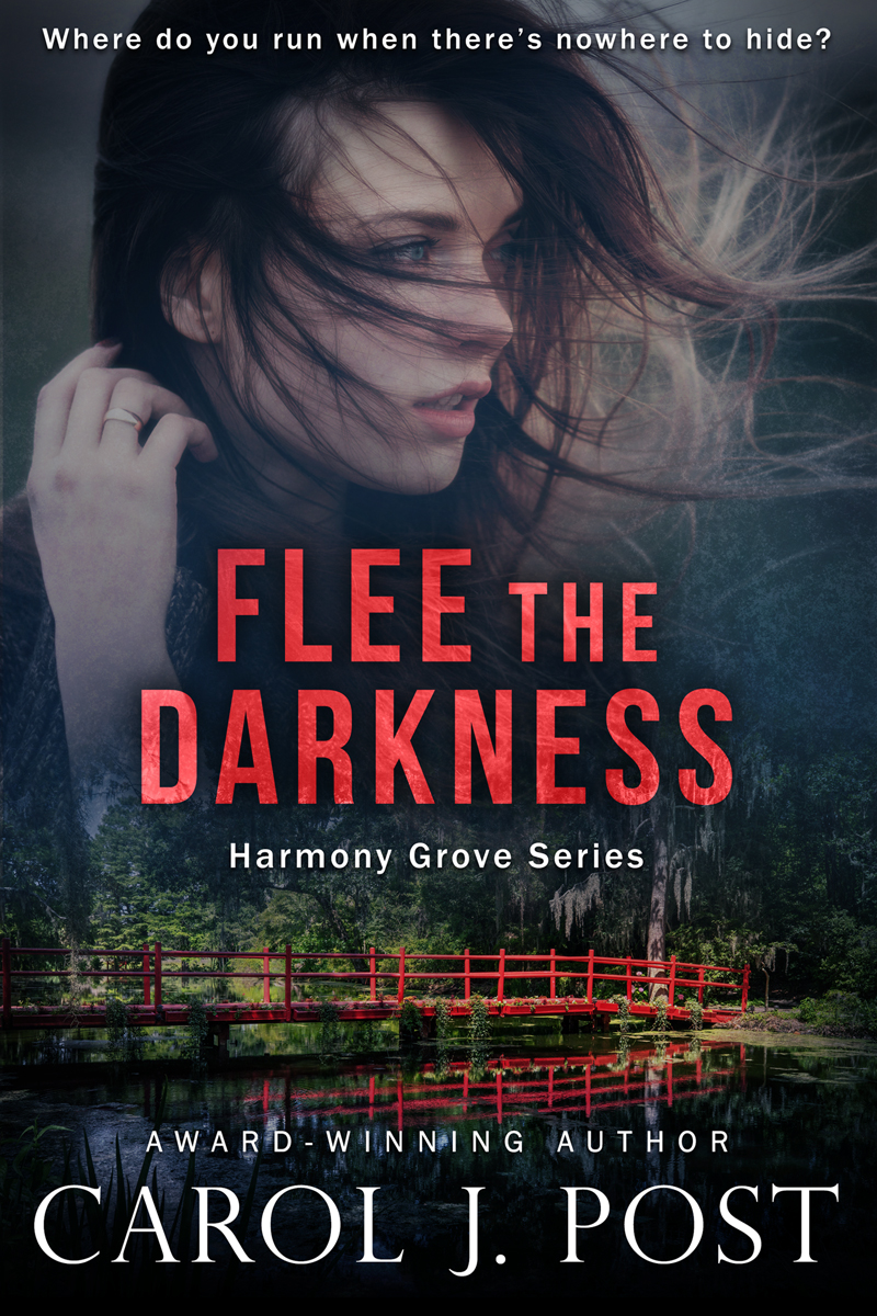 Flee the Darkness book cover
