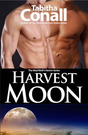 A Mad Wolf's Harem book cover 1