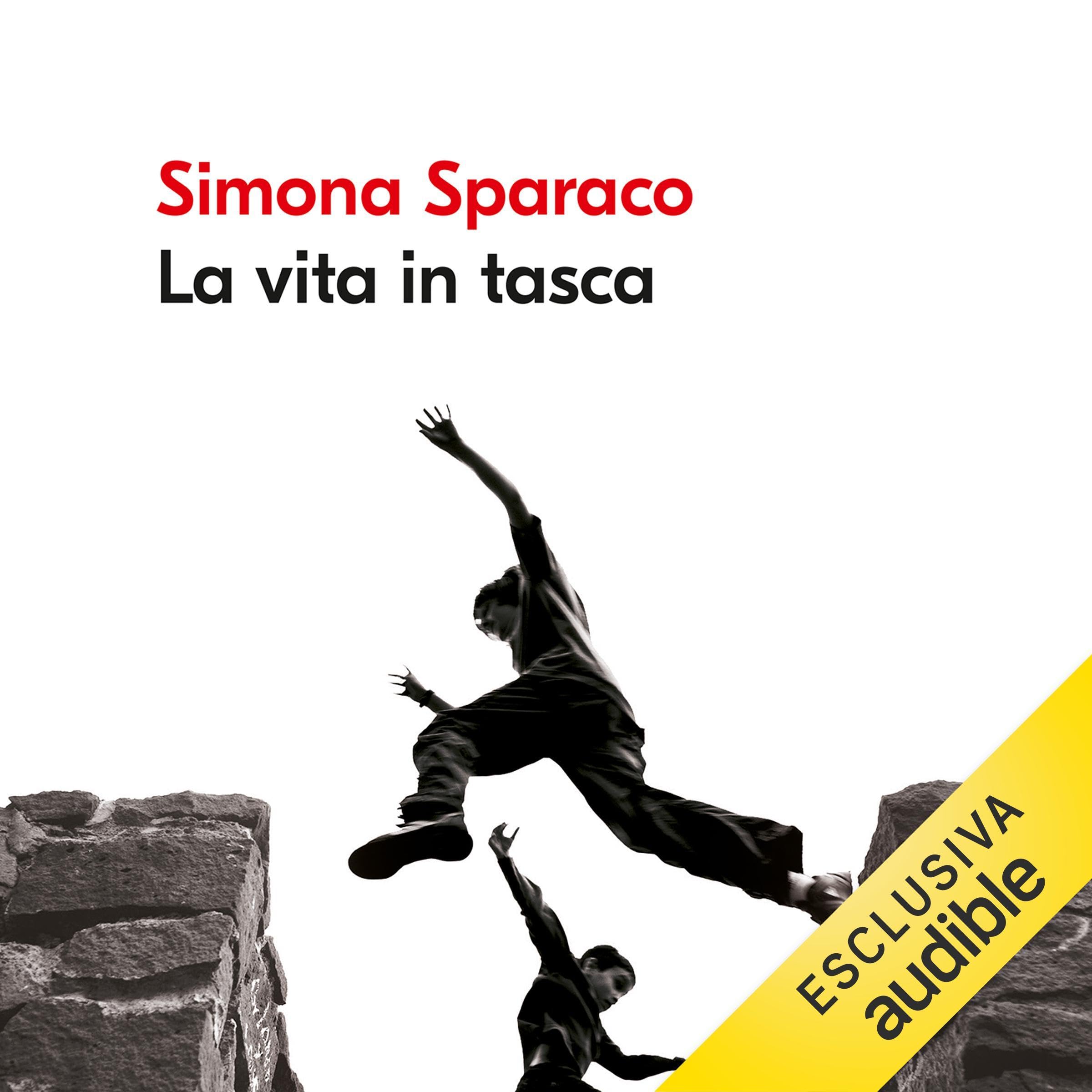 La vita in tasca book cover