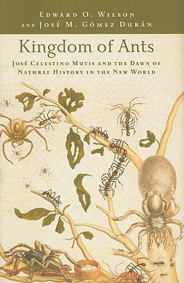 Kingdom of Ants book cover