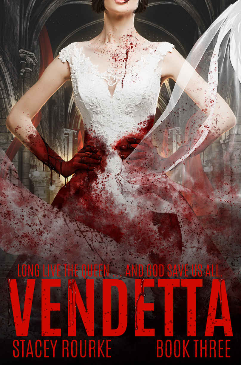 Veiled book cover 3