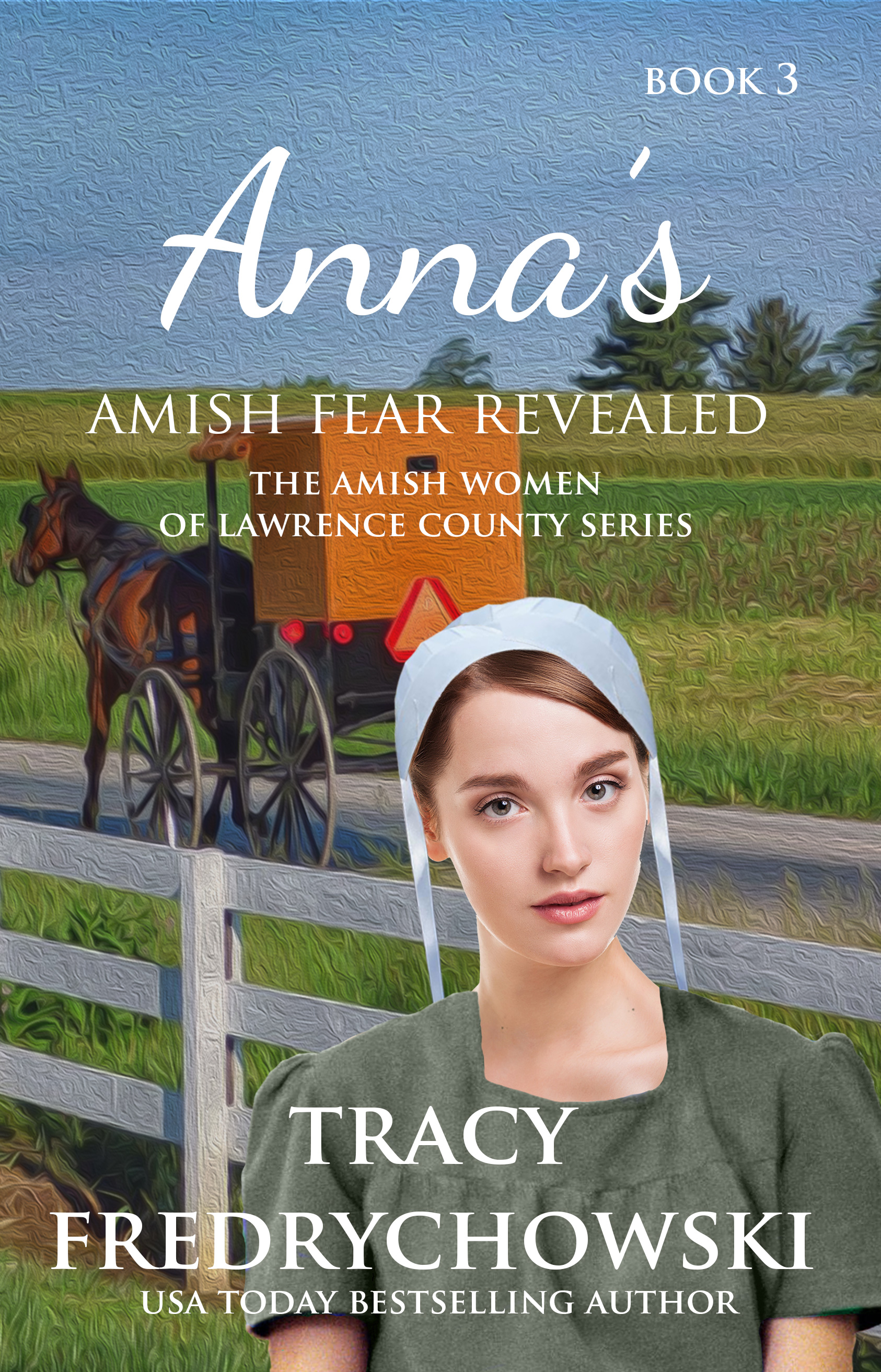 Anna's Amish Fears Revealed book cover