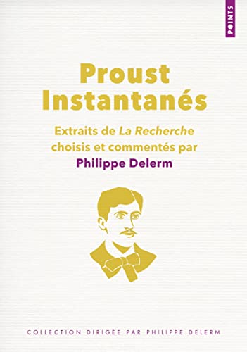 Proust Instantanés book cover