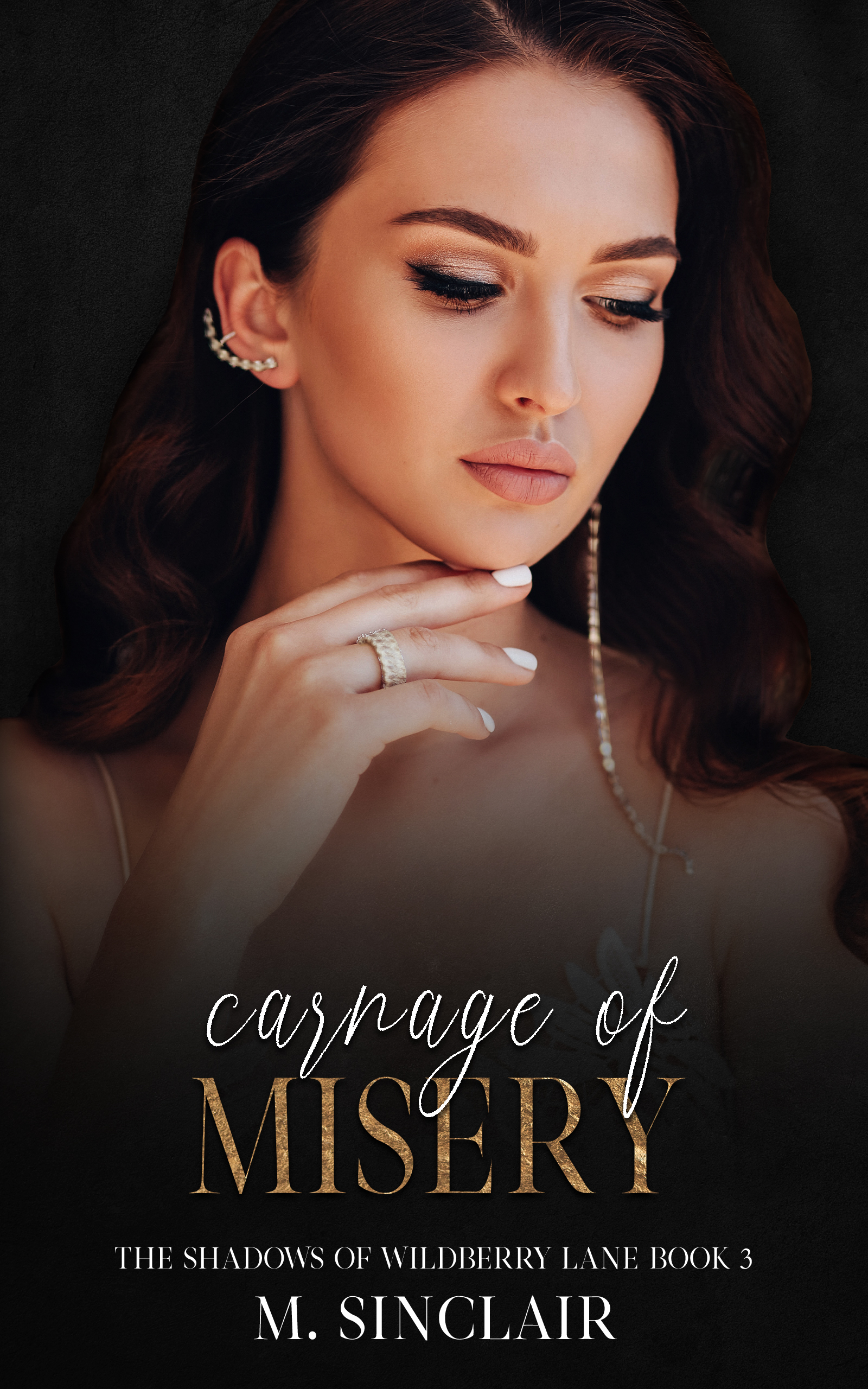 The Shadows of Wildberry Lane book cover 3