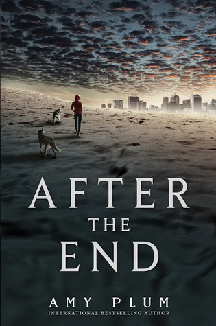 After the End book cover 1
