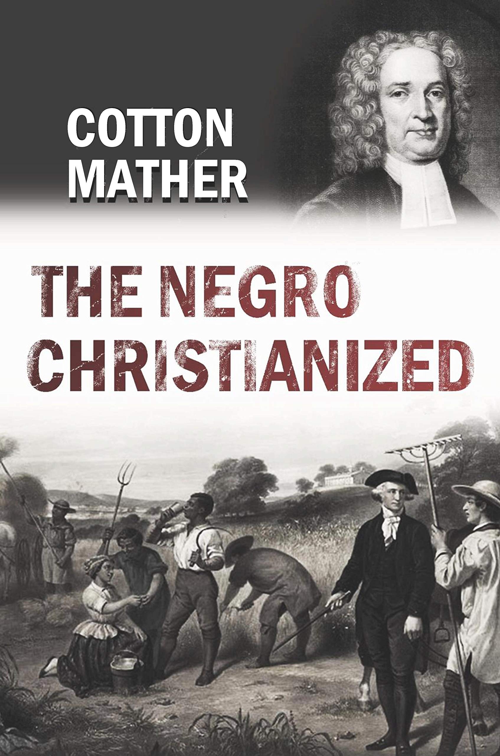 The Negro Christianized. An Essay to Excite and Assist that Good Work, the Instruction of Negro Servants in Christianity book cover