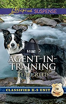 Agent-in-Training book cover