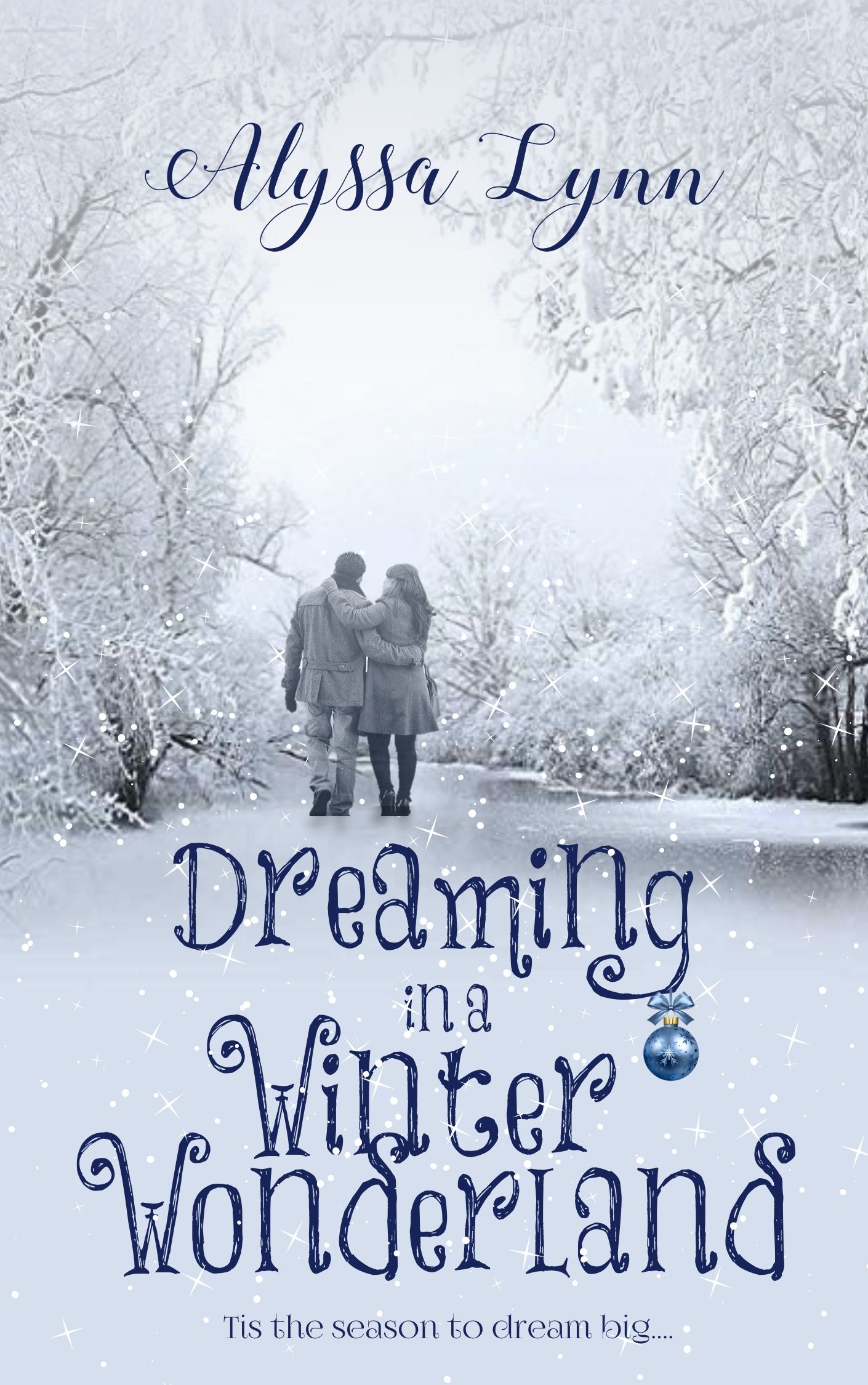 Dreaming in a Winter Wonderland book cover