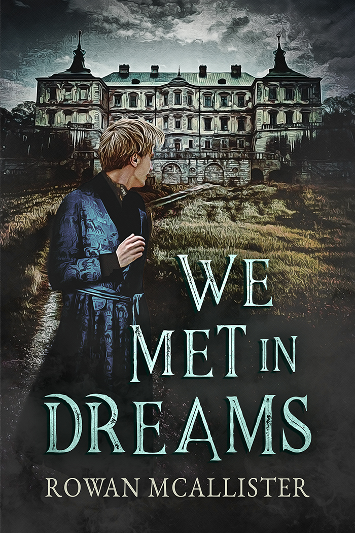 We Met in Dreams book cover
