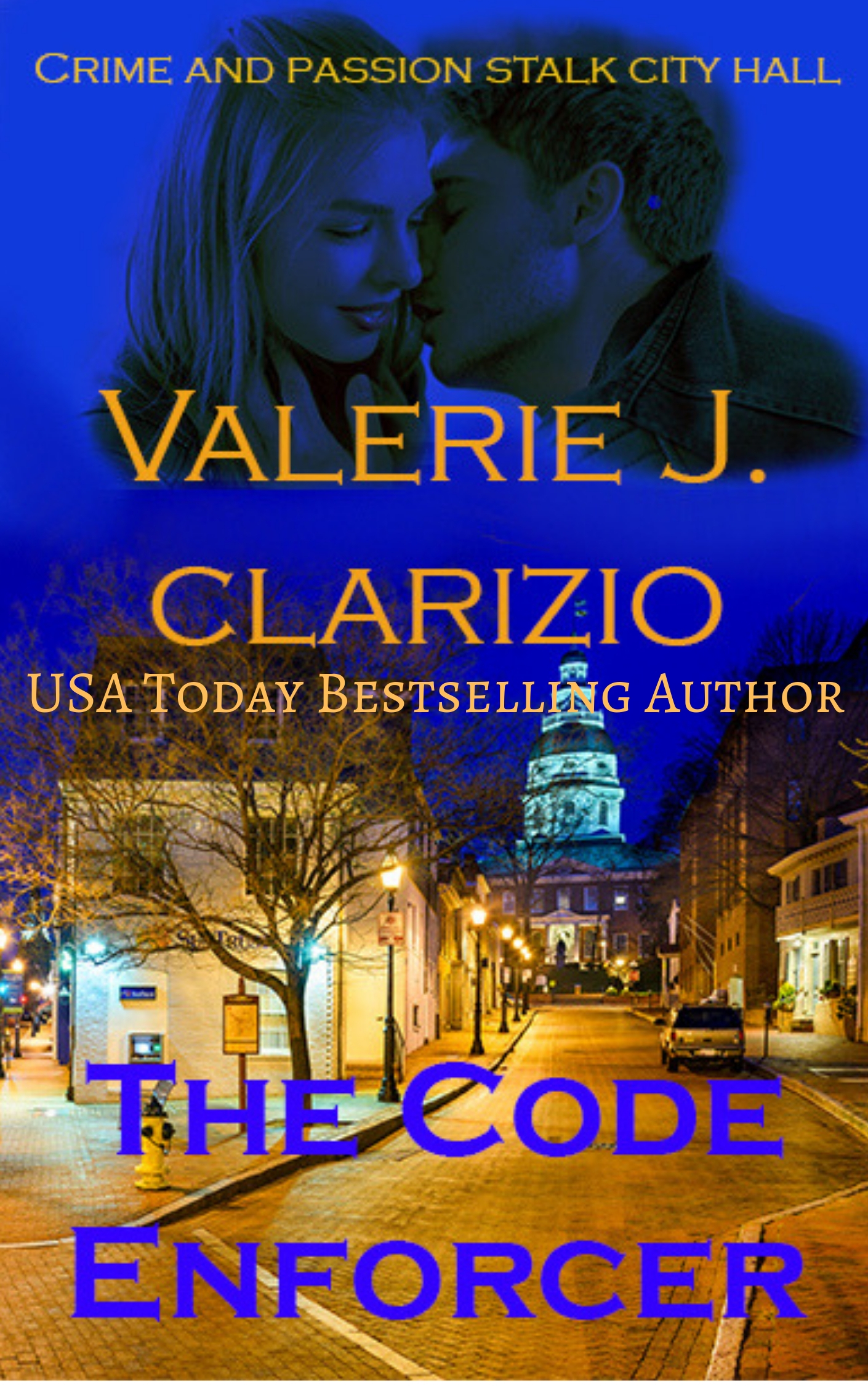 The Code Enforcer book cover