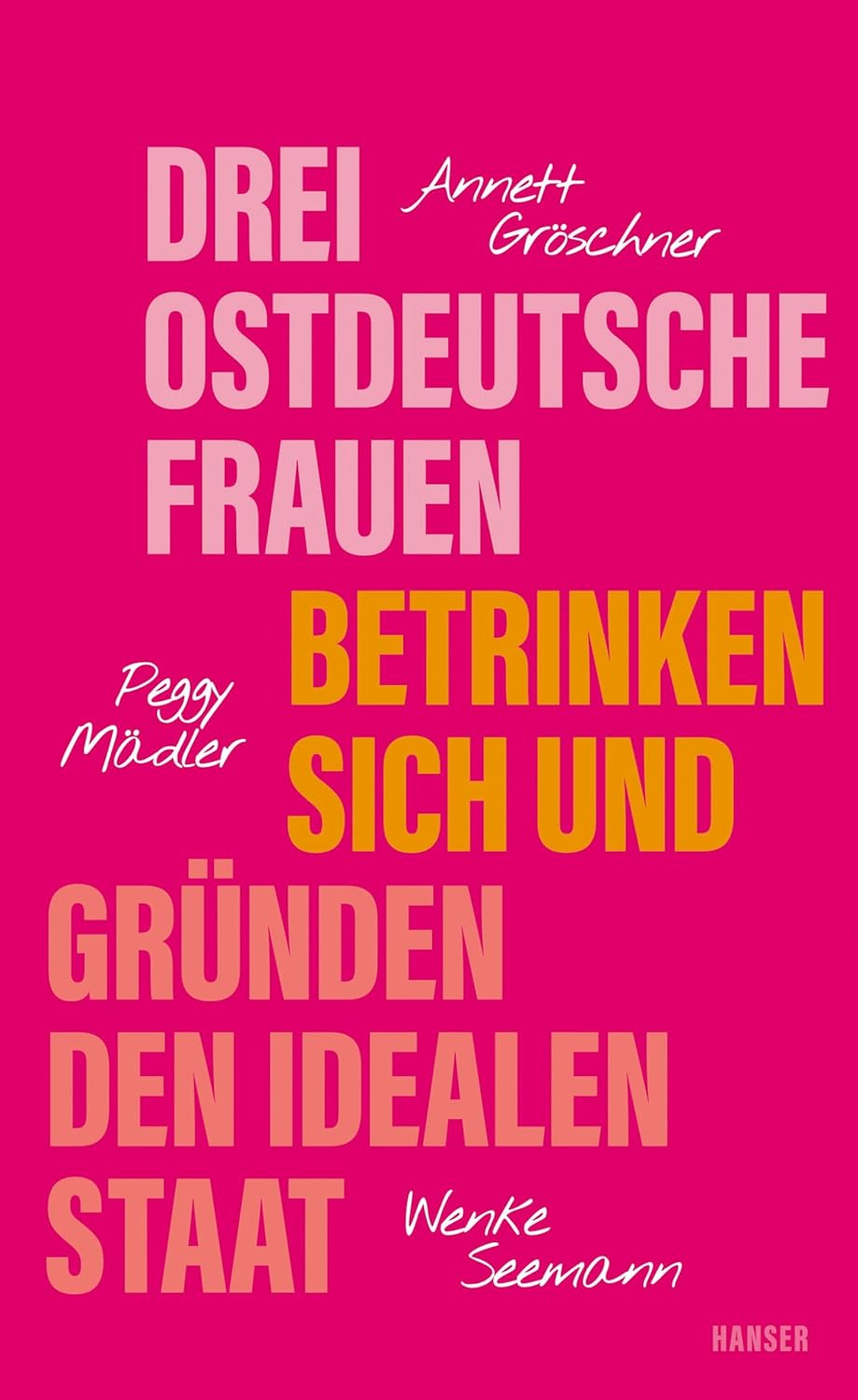 Drei ostdeutsche Frauen betrinken sich und gründen den idealen Staat book cover