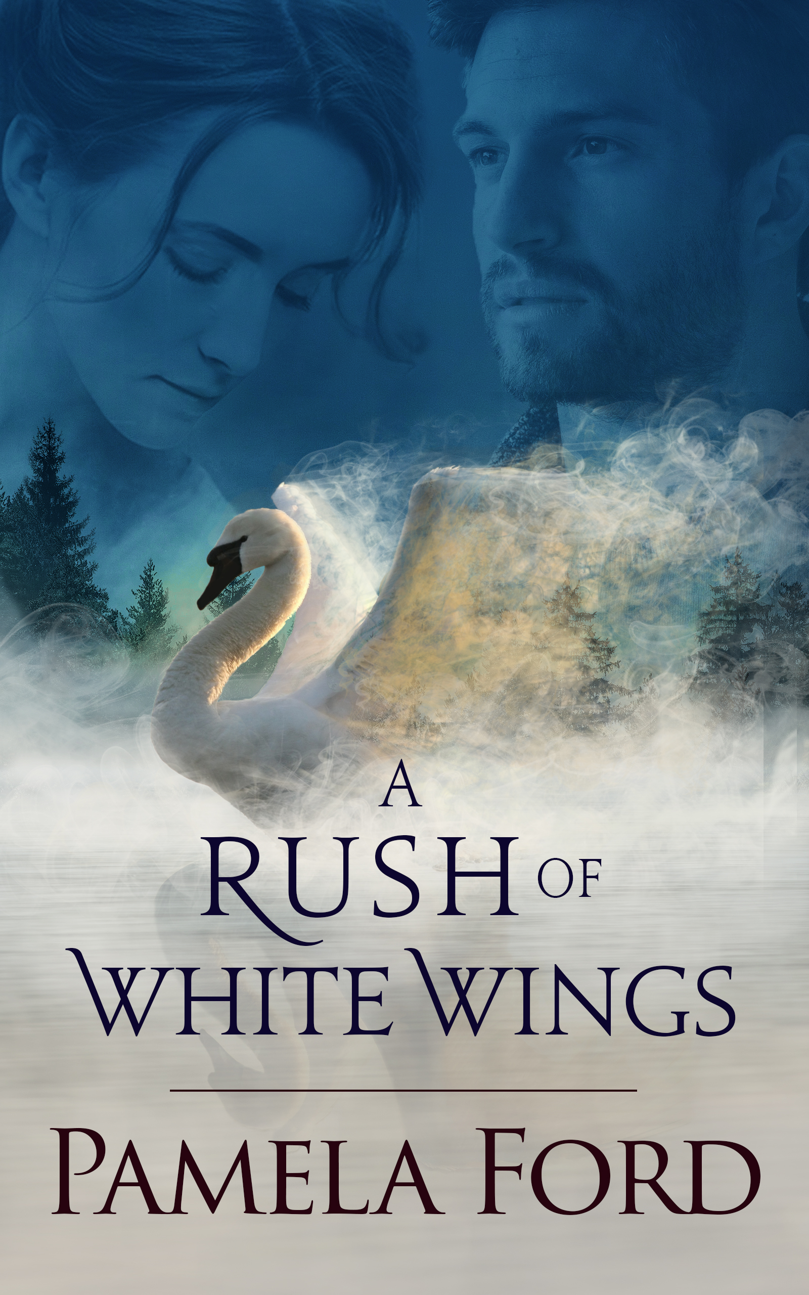 Out of Ireland book cover 2