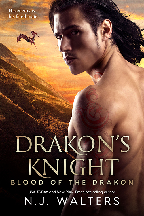 Drakon's Knight book cover