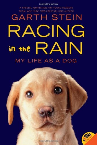 Racing in the Rain book cover
