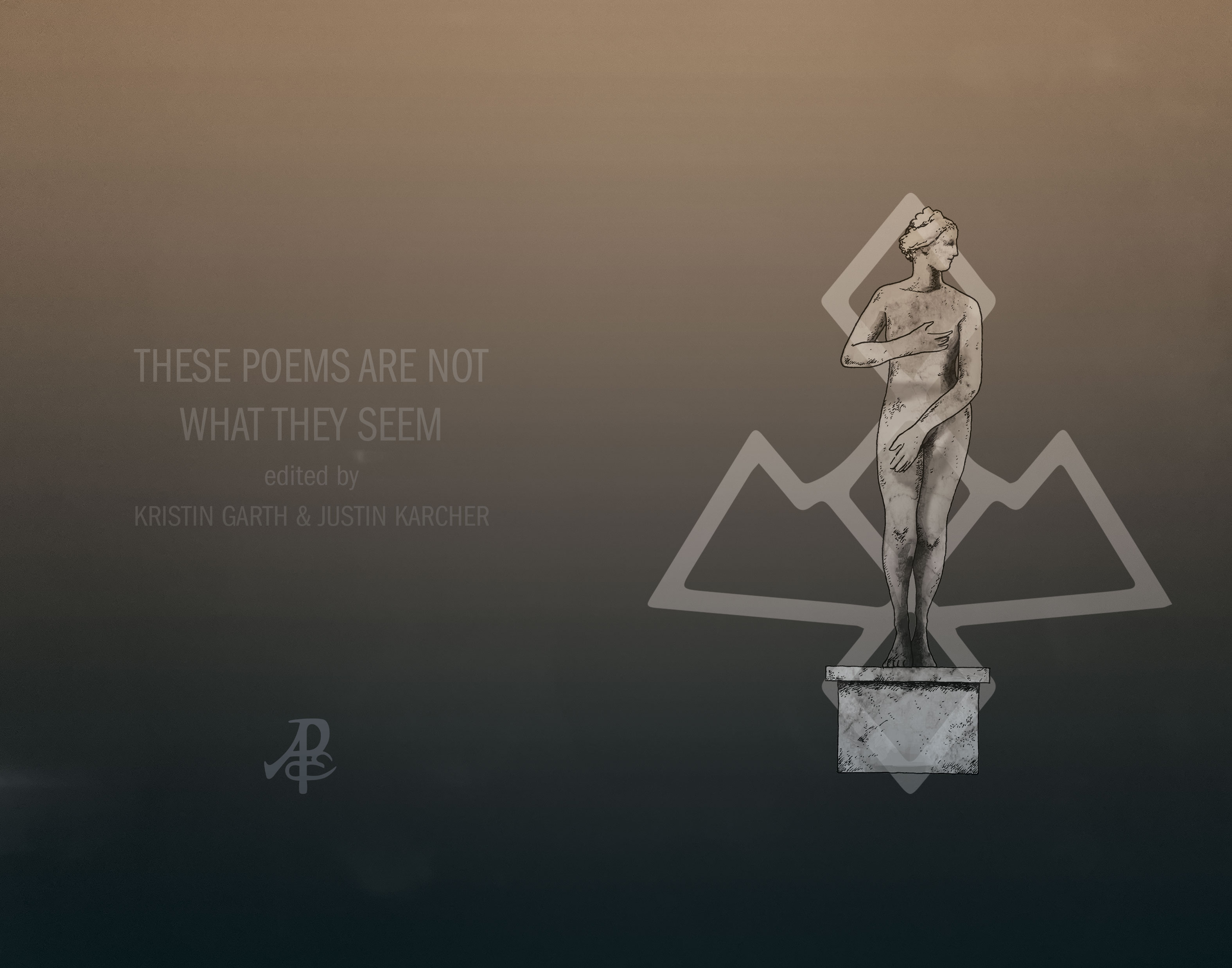 These Poems Are Not What They Seem book cover