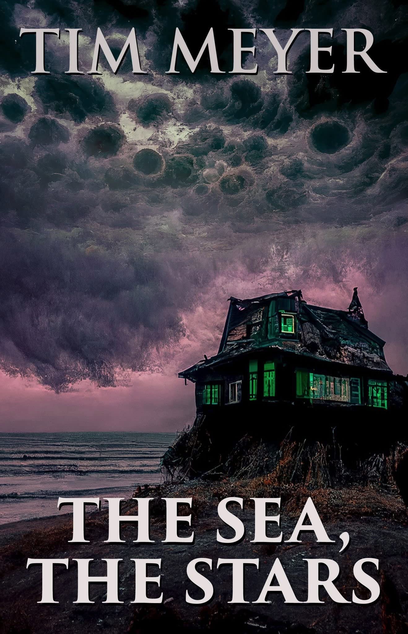 The Sea, the Stars book cover