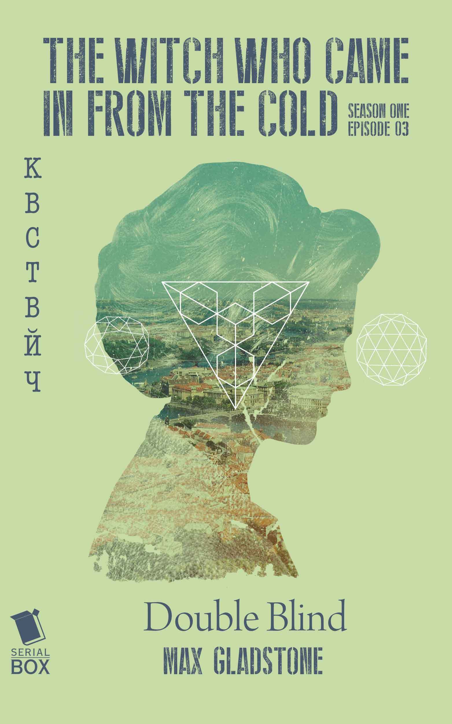 Double Blind book cover