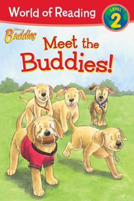 Meet the Buddies book cover
