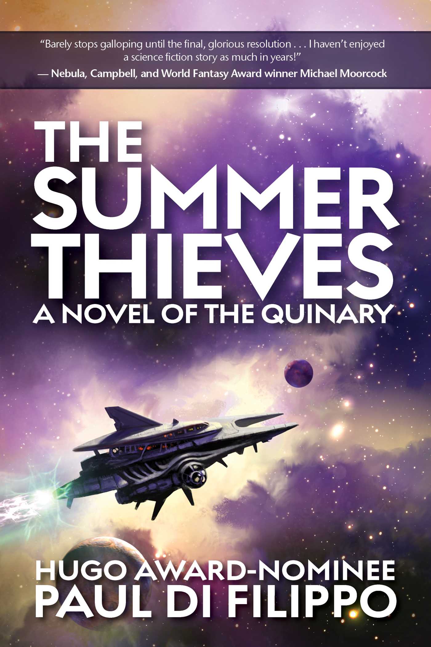 The Summer Thieves book cover