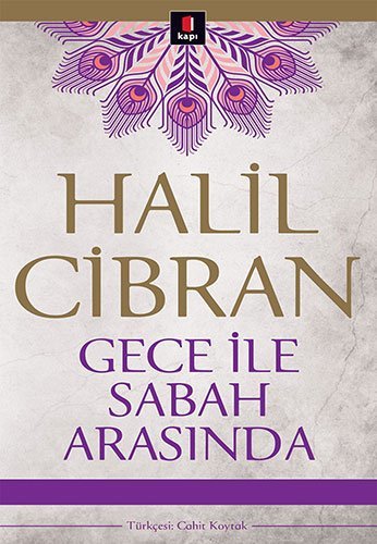 Gece ile Sabah Arasinda book cover