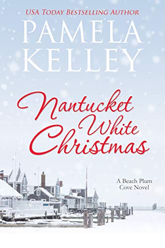 Nantucket Beach Plum Cove book cover 3