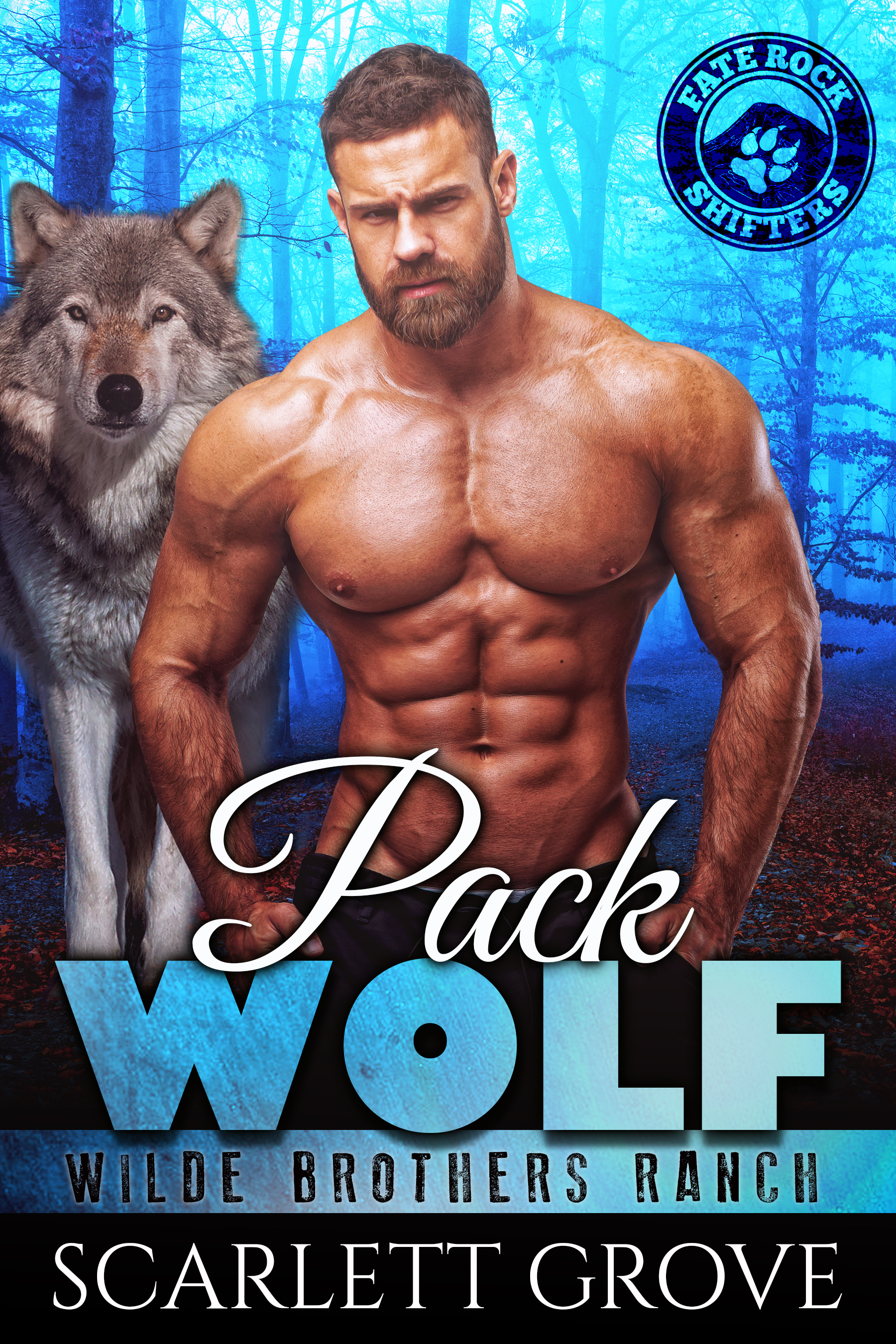 Wilde Brothers Ranch book cover 3