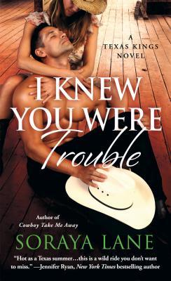 I Knew You Were Trouble book cover