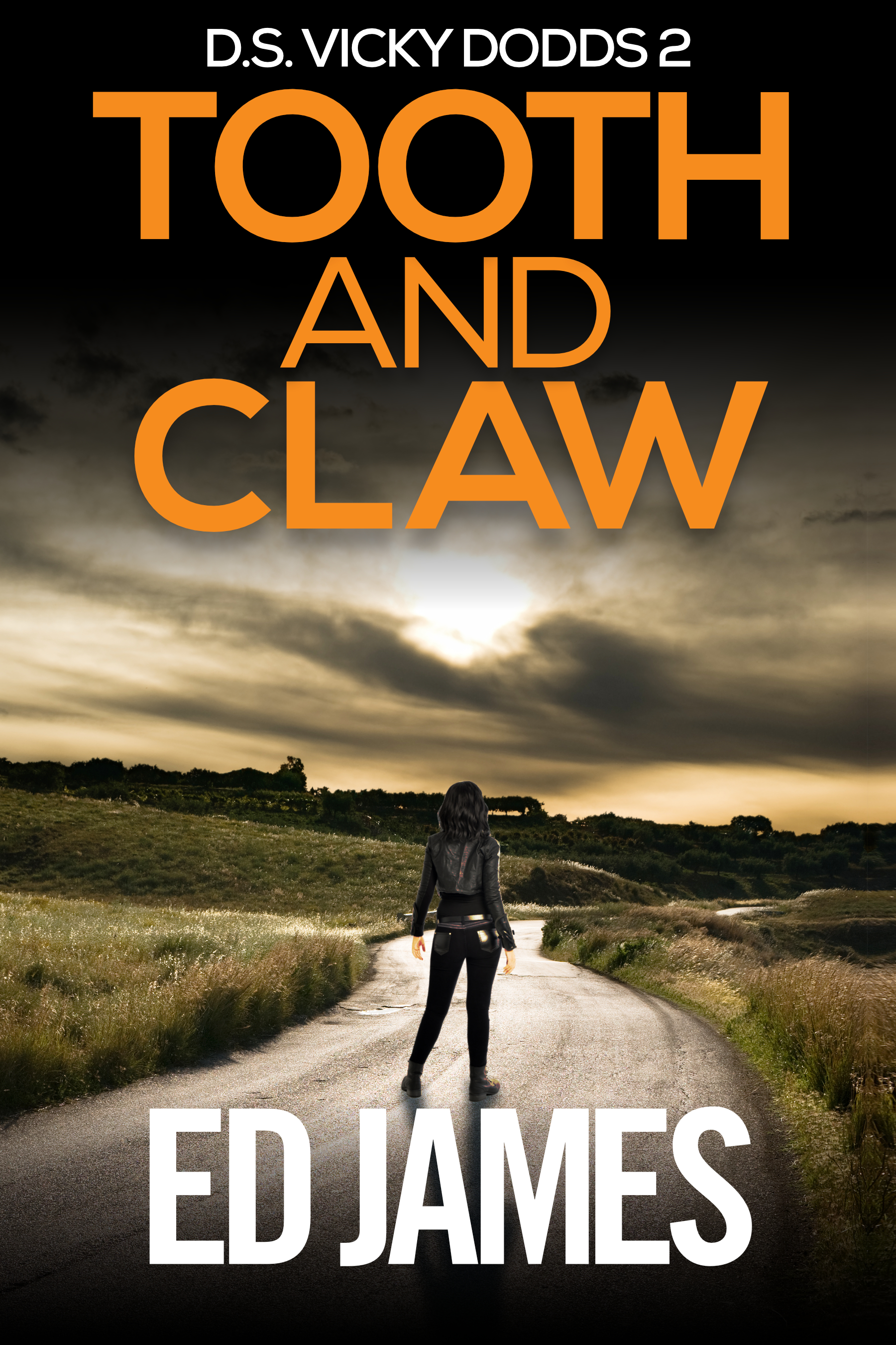 DS Vicky Dodds book cover 2