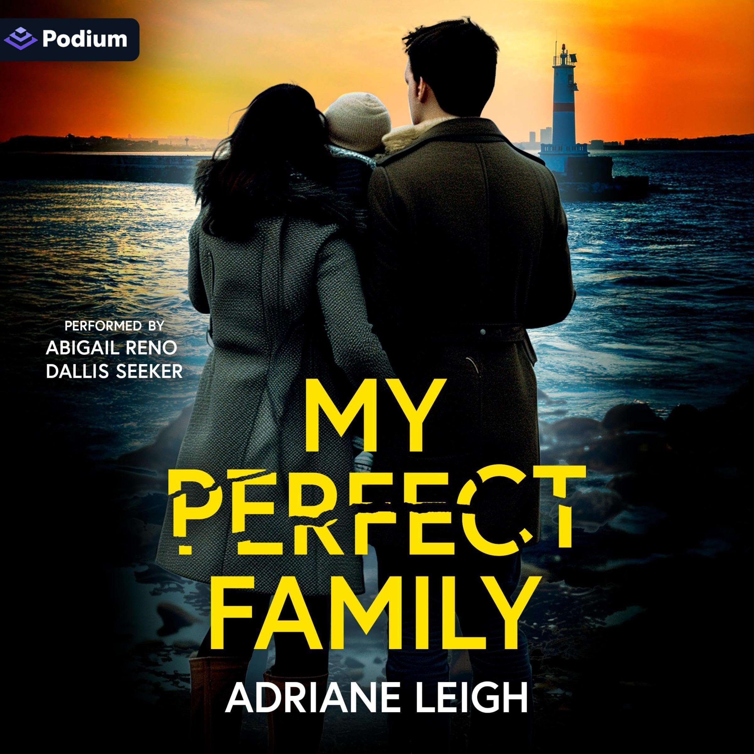 My Perfect Family book cover