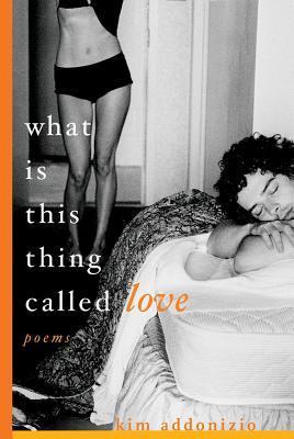 What Is This Thing Called Love book cover
