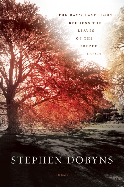 The Day's Last Light Reddens the Leaves of the Copper Beech book cover