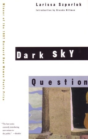 Dark Sky Question book cover