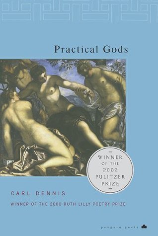 Practical Gods book cover