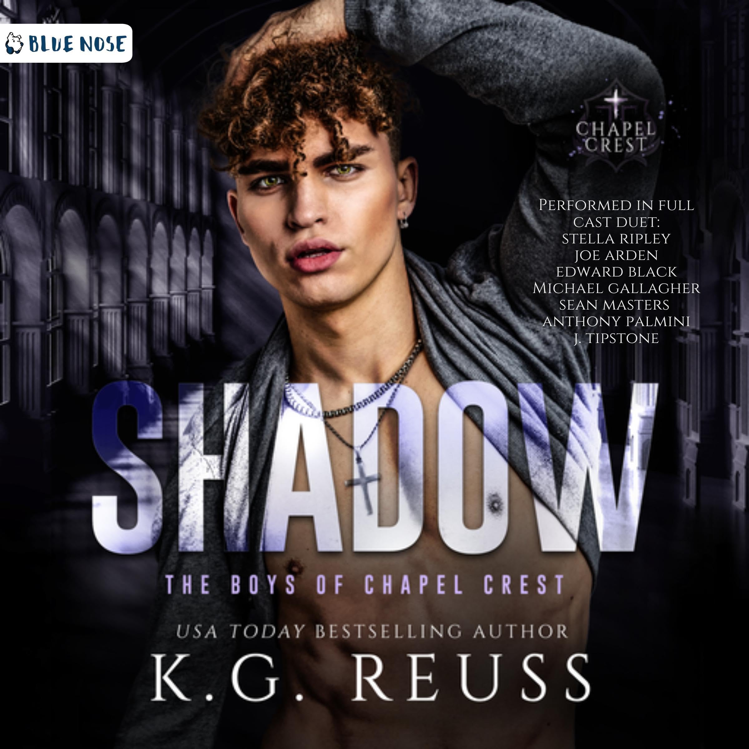 Shadow book cover