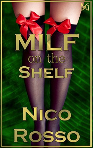MILF on the Shelf book cover