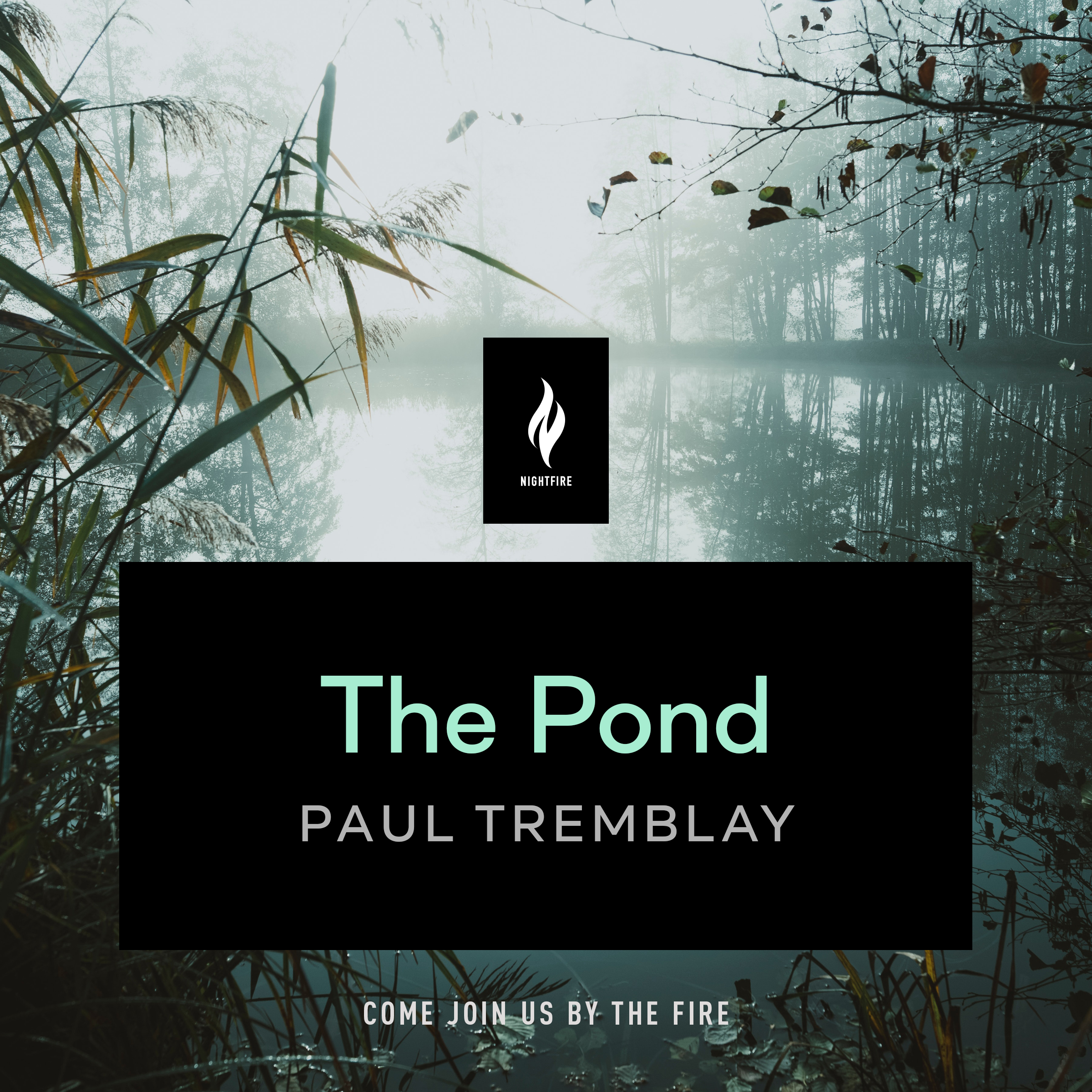 The Pond book cover