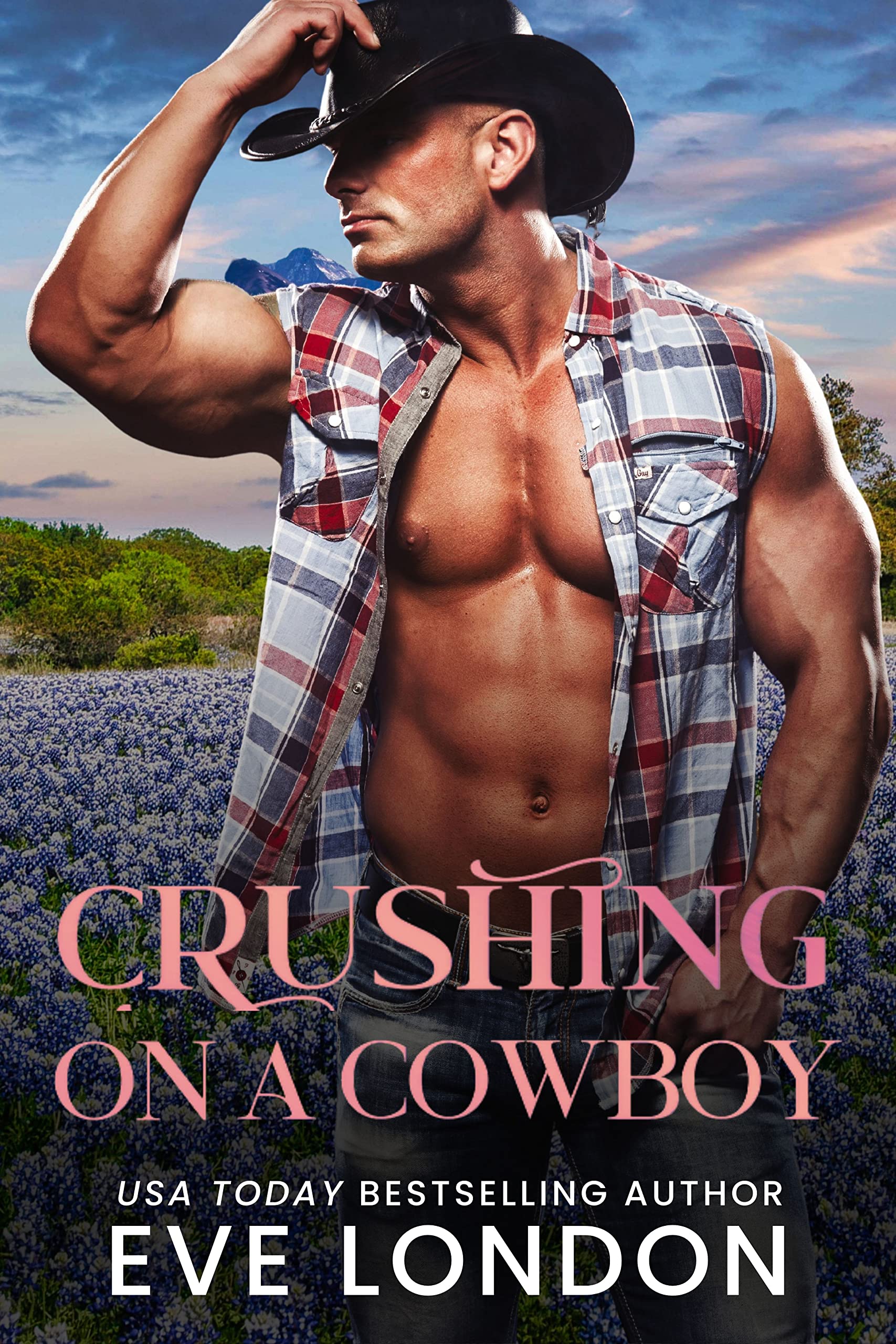 Crushing on a Cowboy book cover