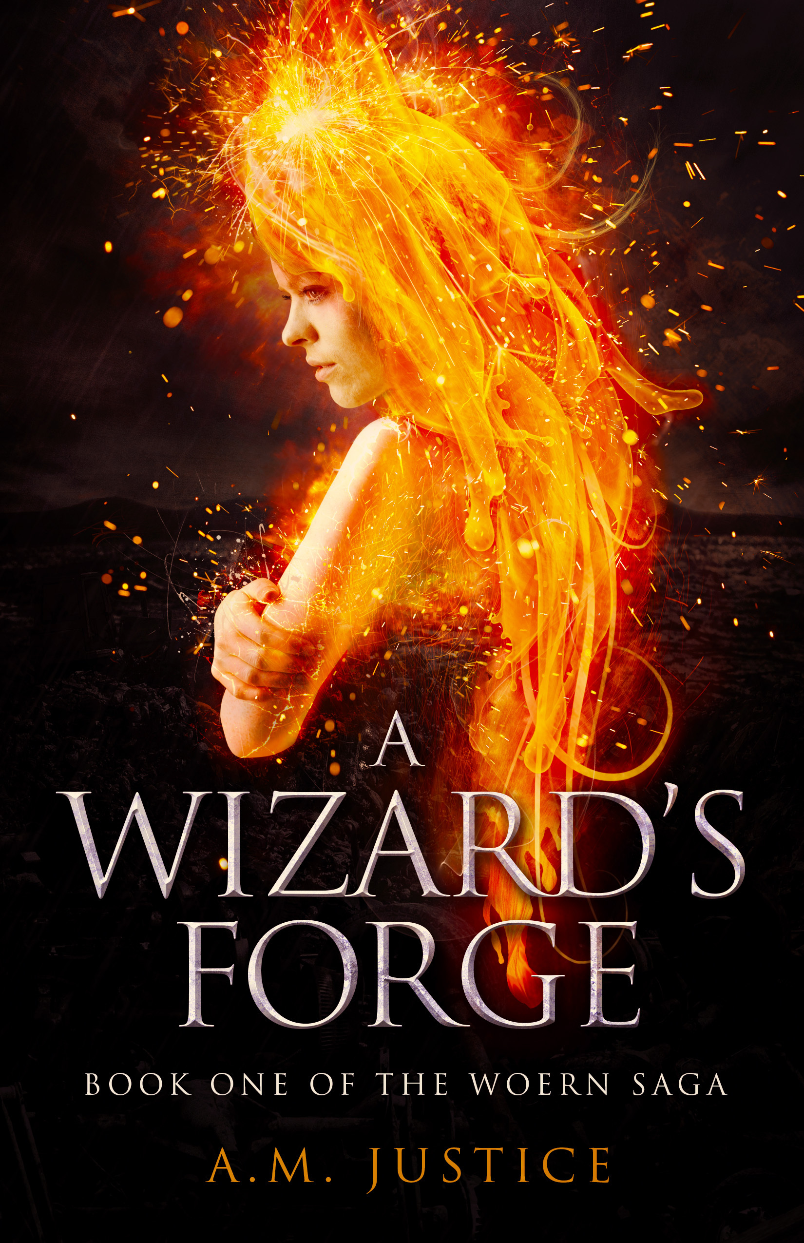 The Woern Saga book cover 1