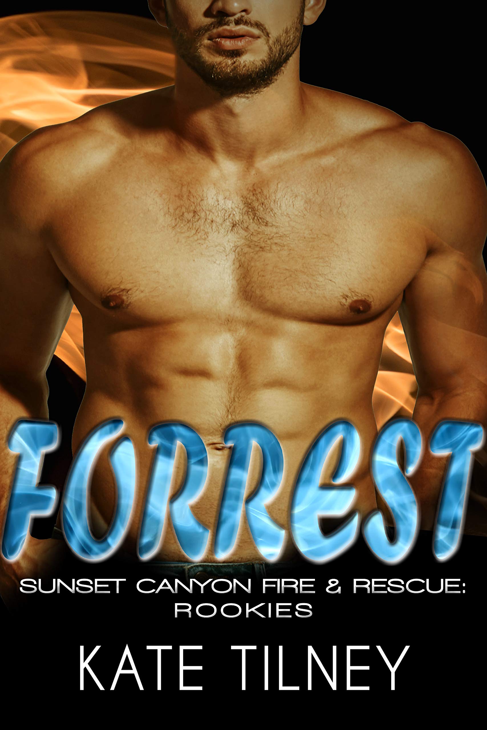 Sunset Canyon Fire & Rescue: Rookies book cover 2