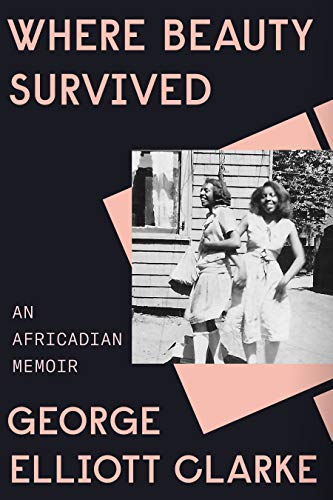 Where Beauty Survived book cover