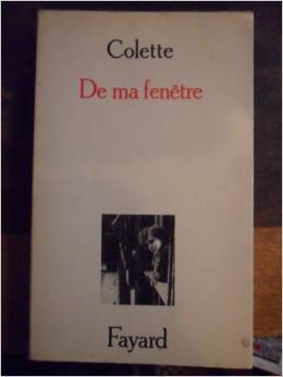From My Window book cover