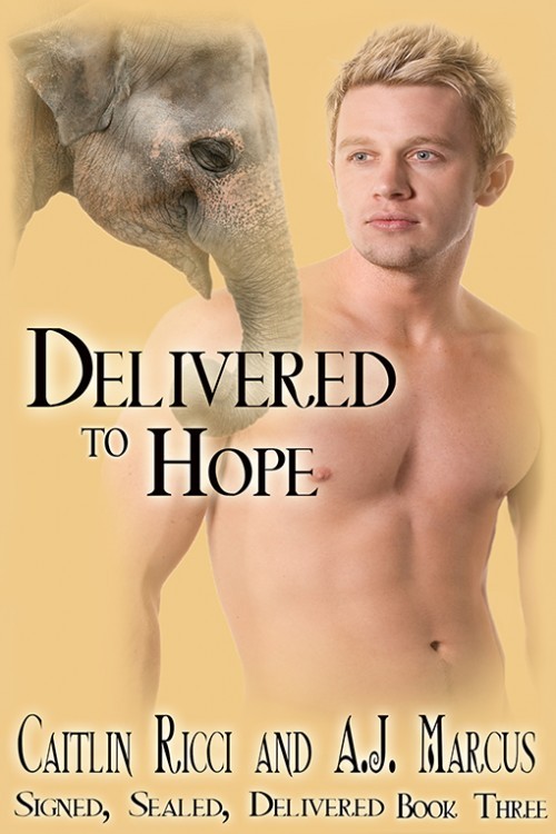 Signed, Sealed, Delivered book cover 3