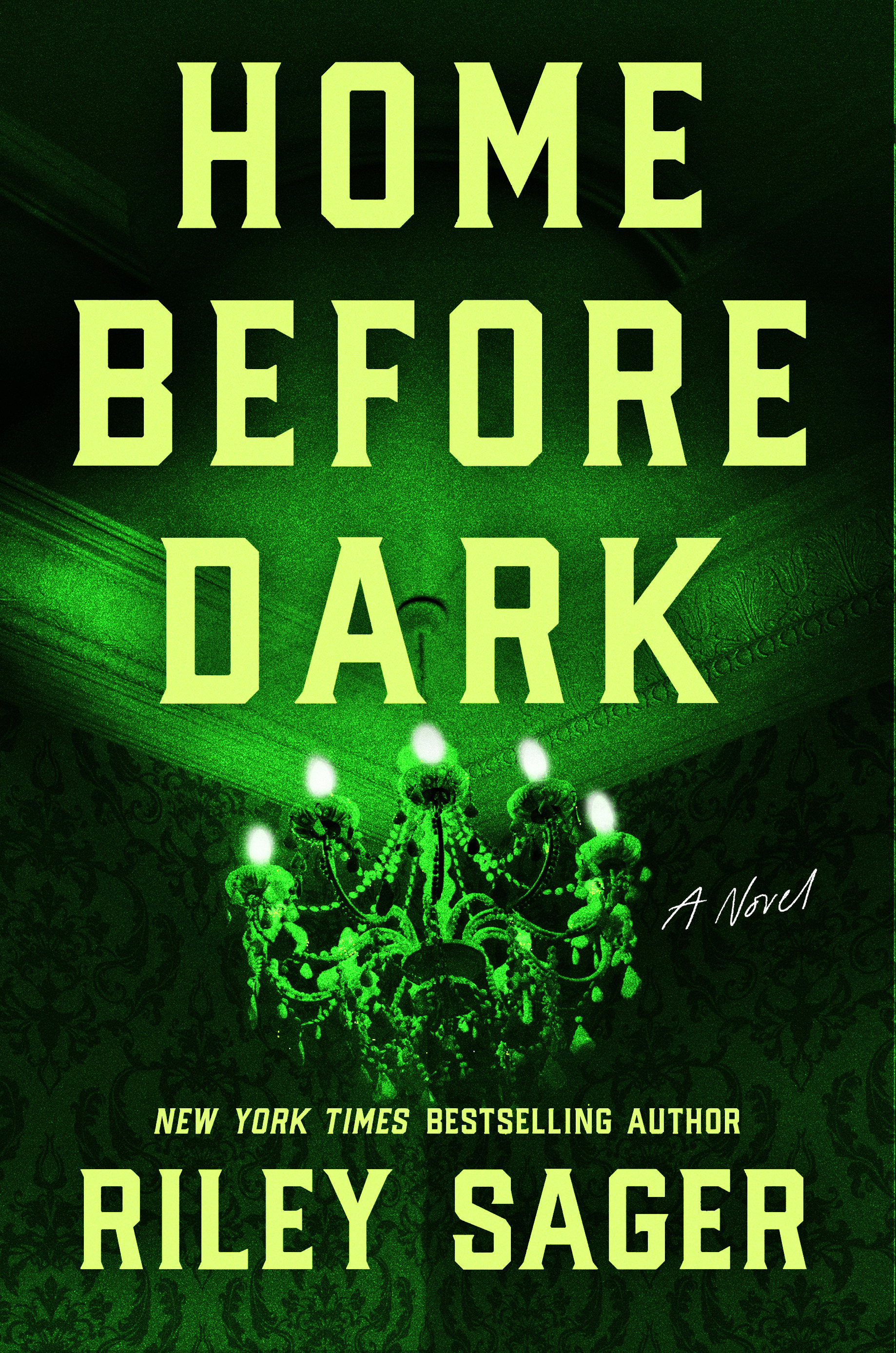 Home Before Dark book cover