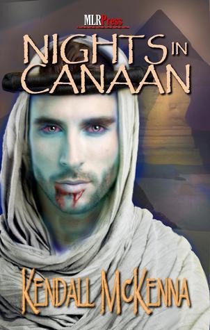 Nights In Canaan book cover