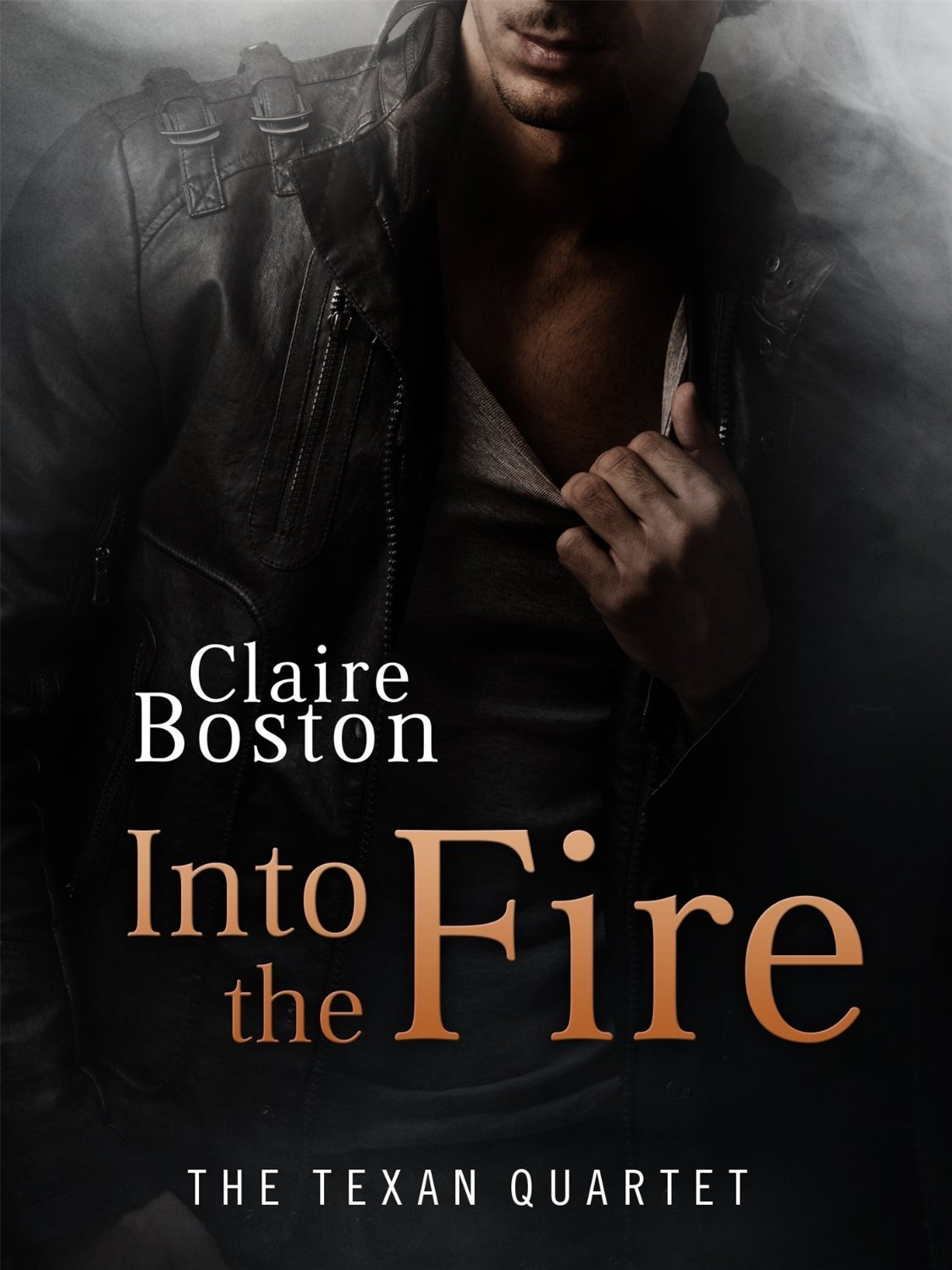 Into the Fire book cover