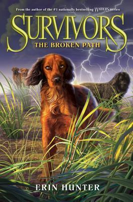 The Broken Path book cover