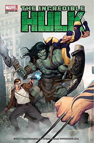 The Incredible Hulk (2009) (Single Issues) book cover 2