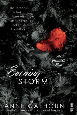 Evening Storm book cover