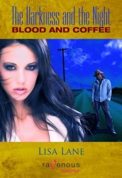 The Darkness and the Night book cover 1